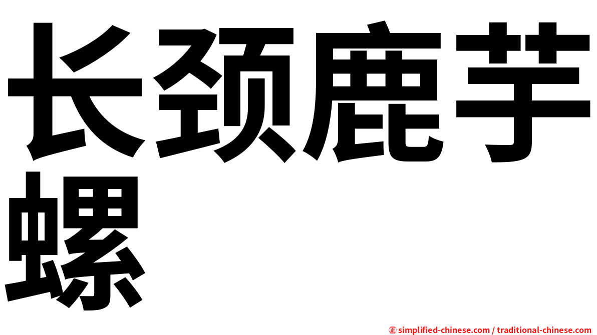 长颈鹿芋螺