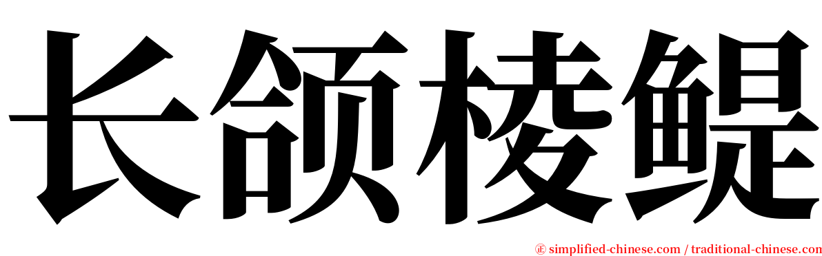 长颌棱鳀 serif font