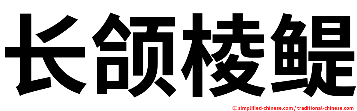 长颌棱鳀