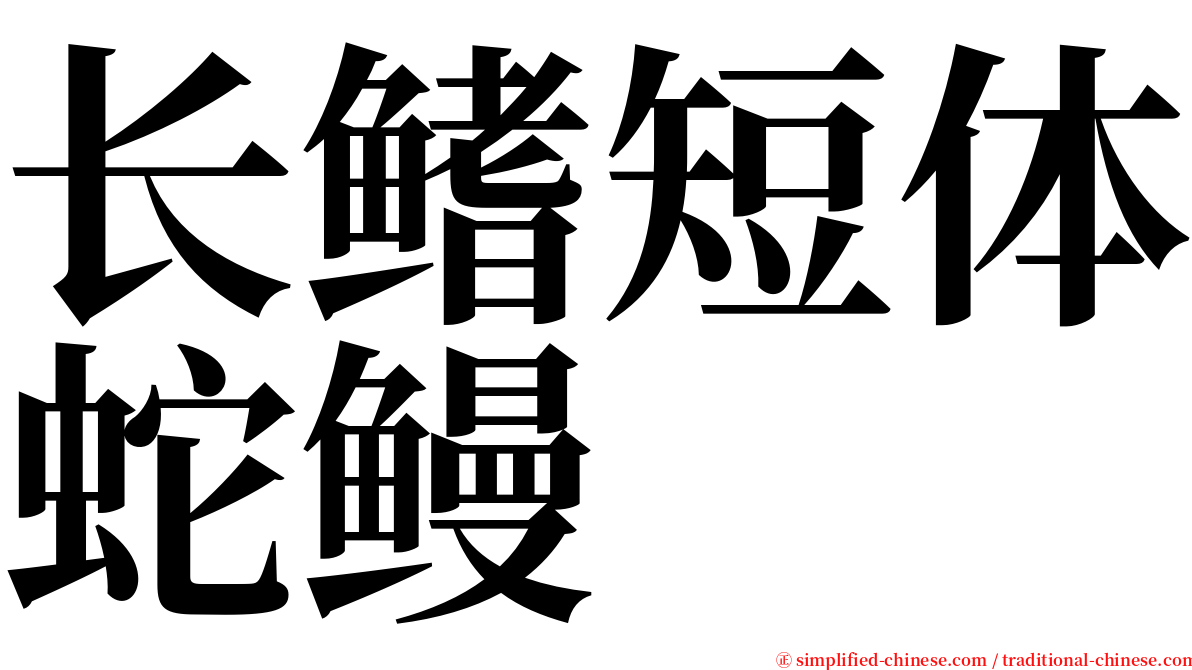 长鳍短体蛇鳗 serif font