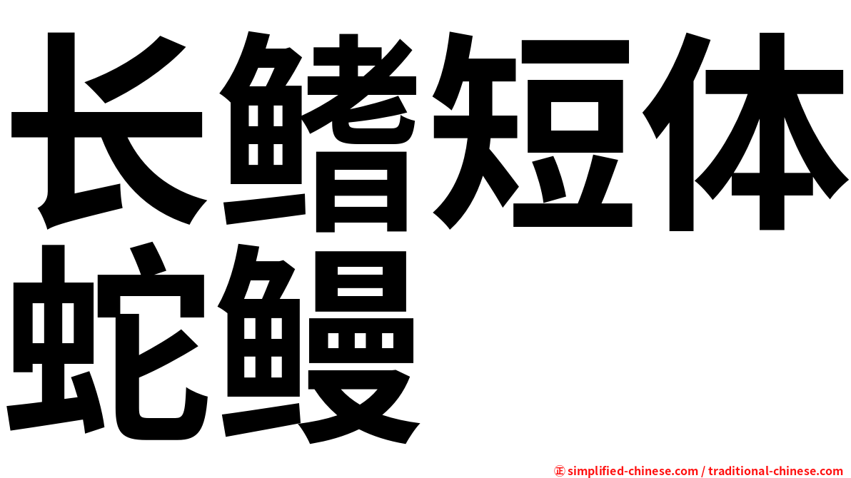长鳍短体蛇鳗