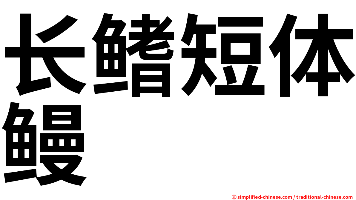 长鳍短体鳗