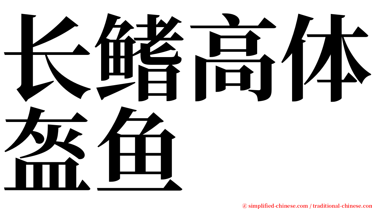 长鳍高体盔鱼 serif font