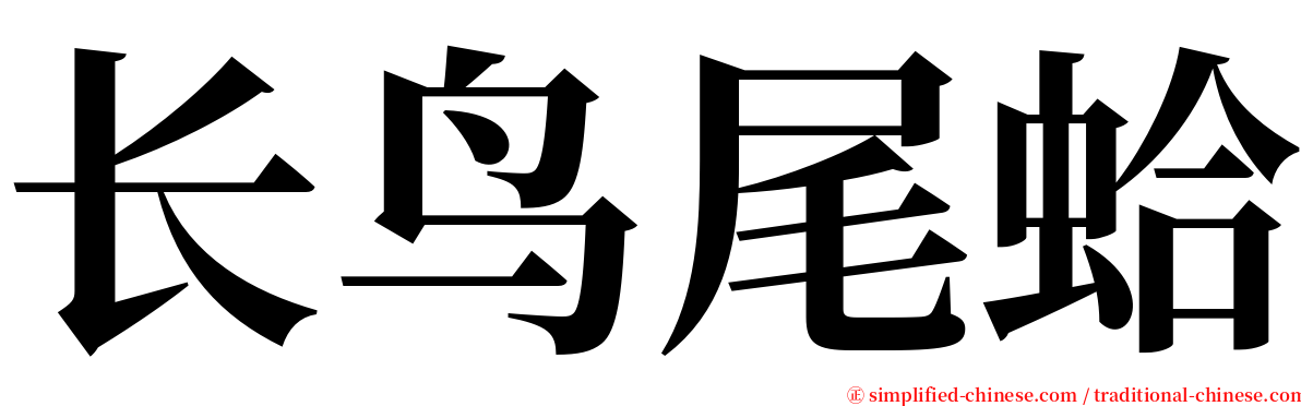 长鸟尾蛤 serif font