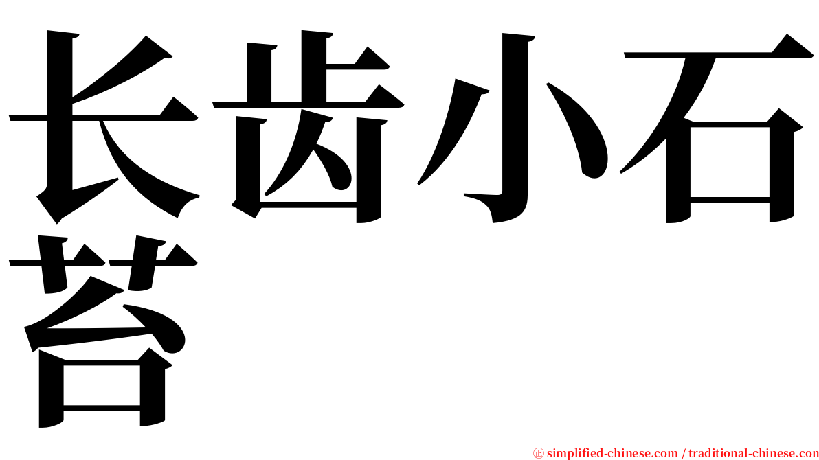长齿小石苔 serif font