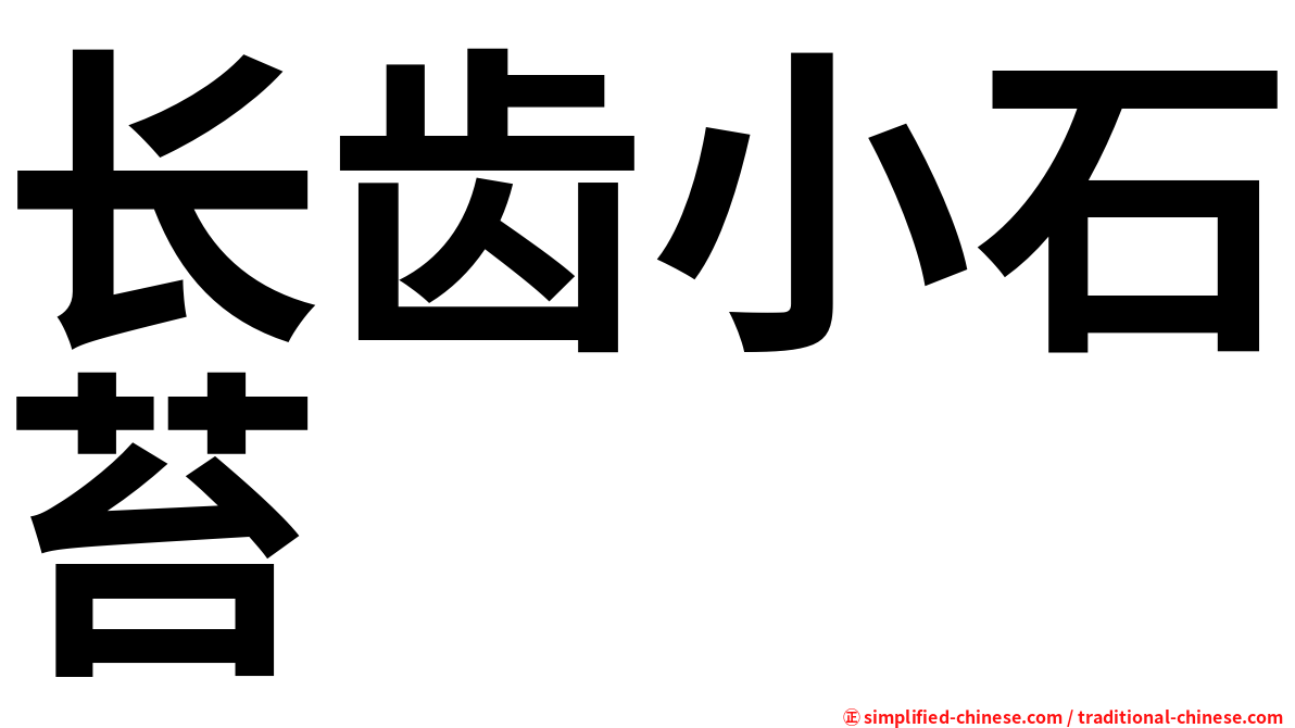 长齿小石苔