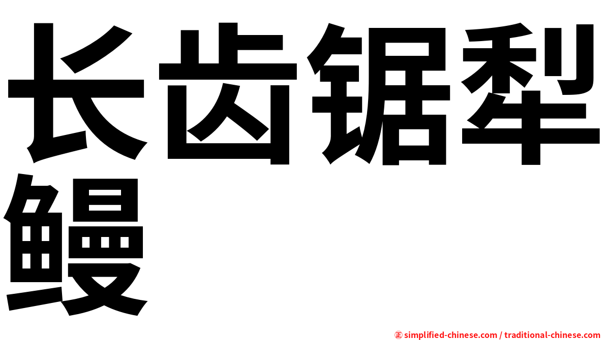 长齿锯犁鳗