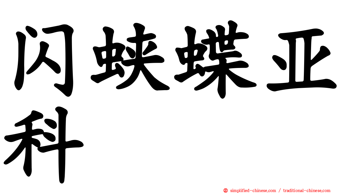 闪蛱蝶亚科