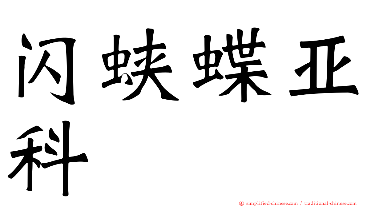 闪蛱蝶亚科