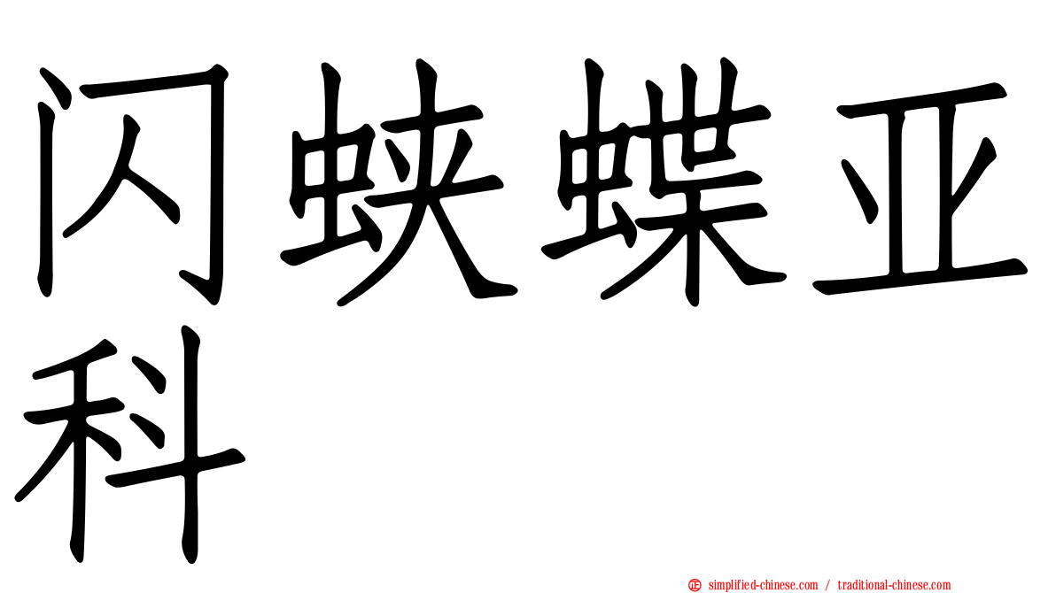 闪蛱蝶亚科