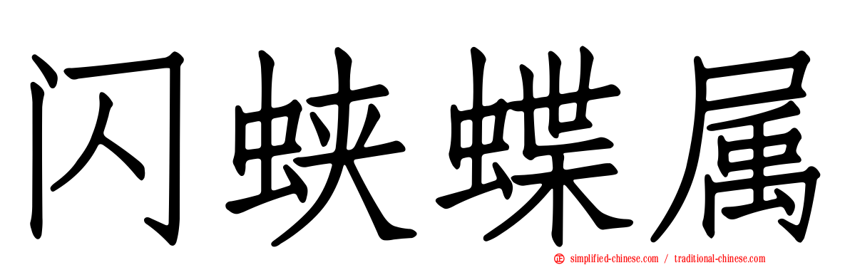 闪蛱蝶属