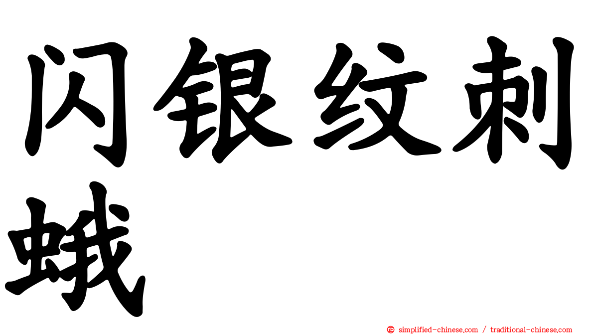 闪银纹刺蛾