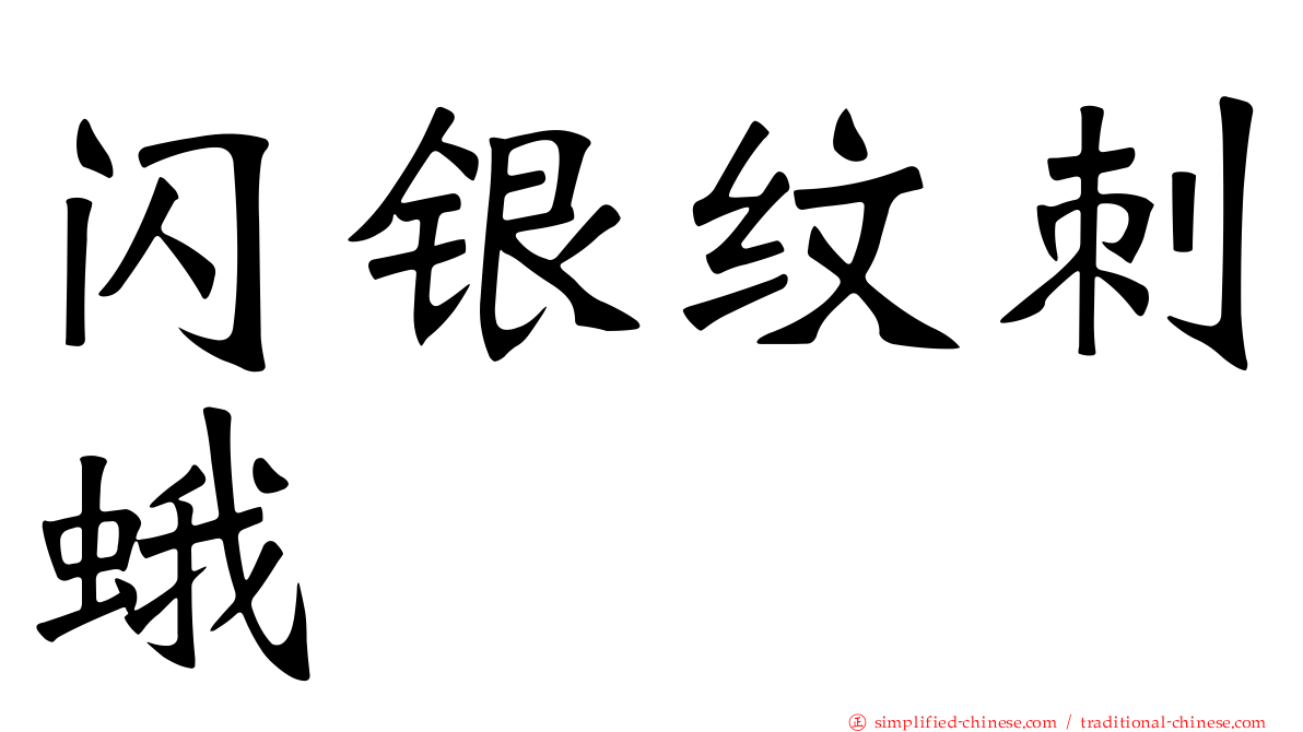 闪银纹刺蛾