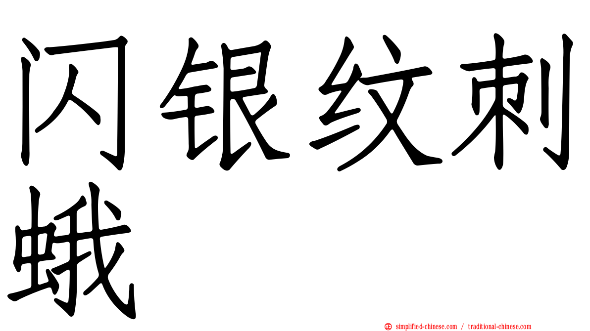 闪银纹刺蛾