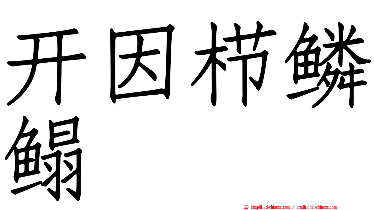 开因栉鳞鳎