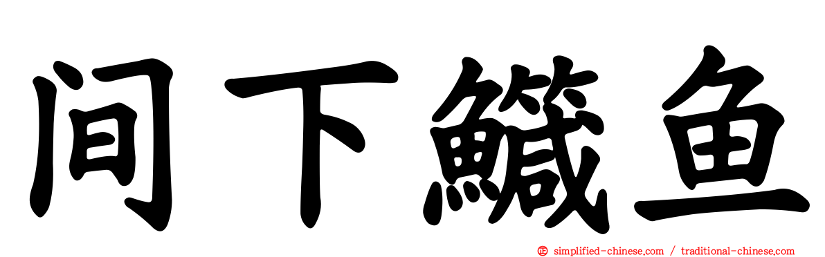 间下鱵鱼