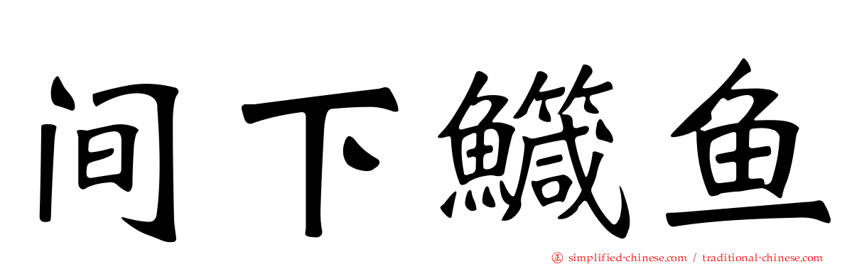 间下鱵鱼