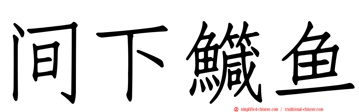 间下鱵鱼