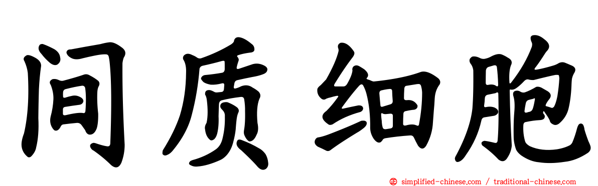 间质细胞