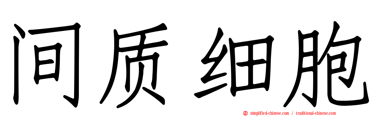 间质细胞