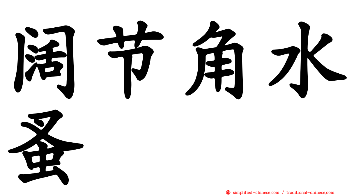 阔节角水蚤