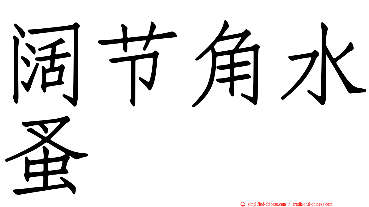 阔节角水蚤