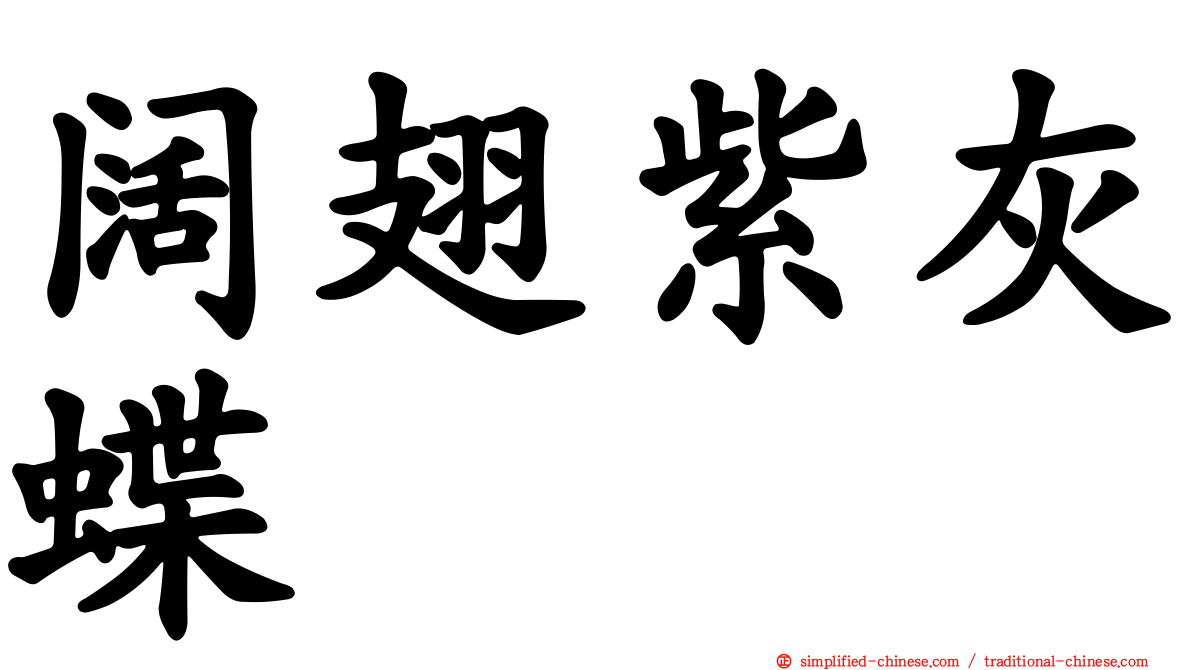 阔翅紫灰蝶