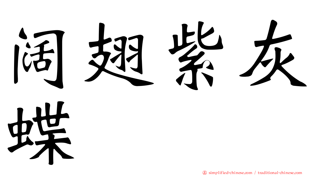 阔翅紫灰蝶
