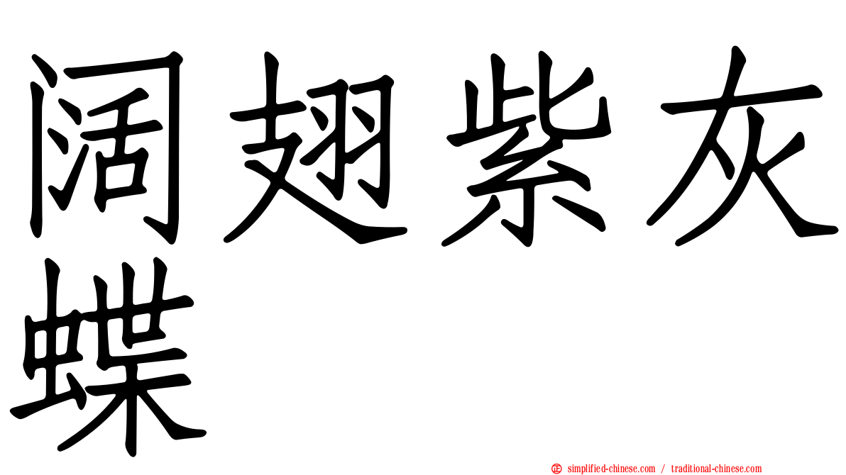阔翅紫灰蝶