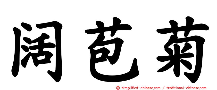 阔苞菊