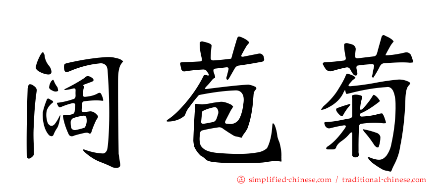阔苞菊