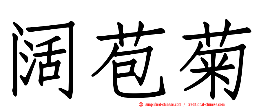 阔苞菊
