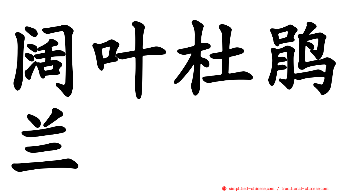阔叶杜鹃兰