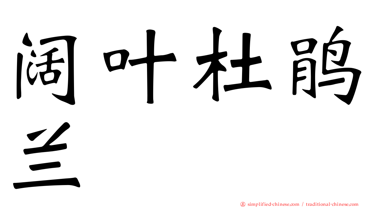 阔叶杜鹃兰