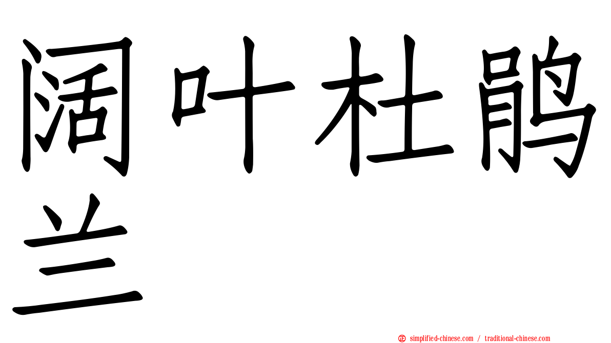 阔叶杜鹃兰