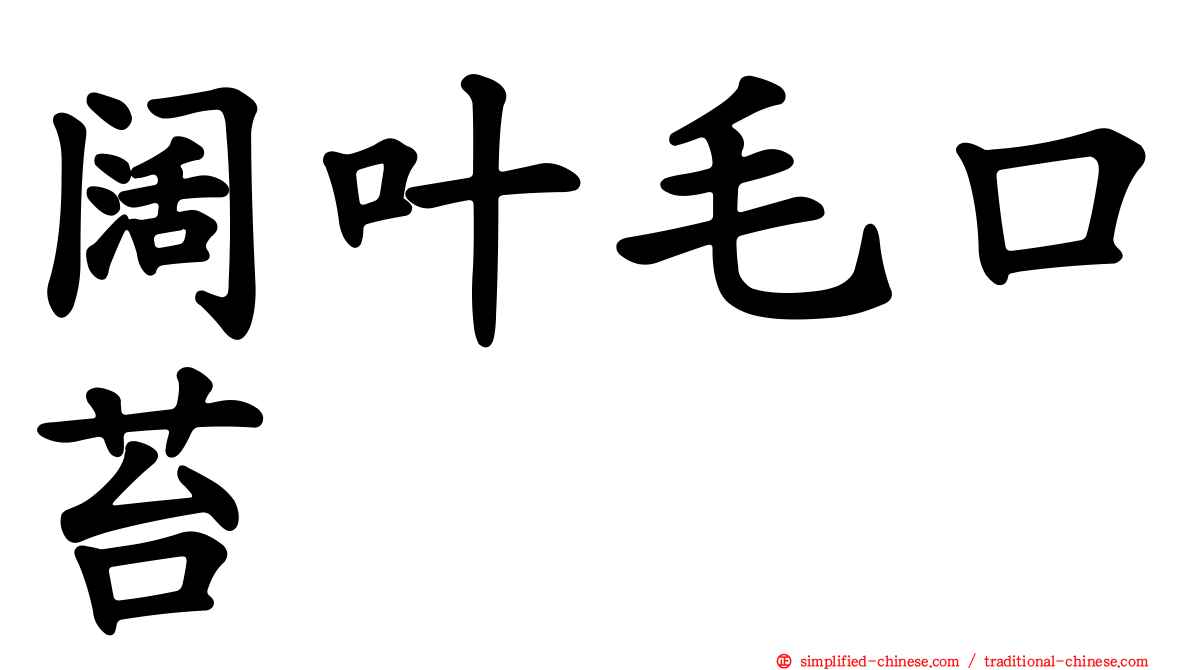 阔叶毛口苔