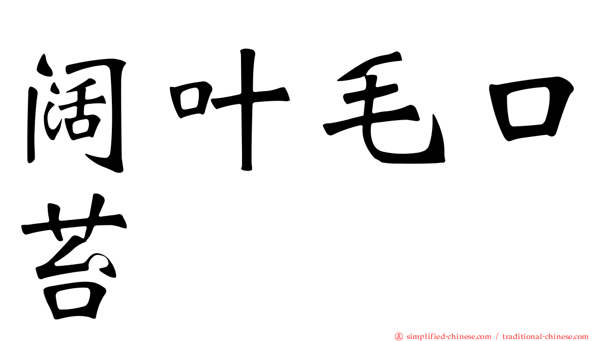 阔叶毛口苔