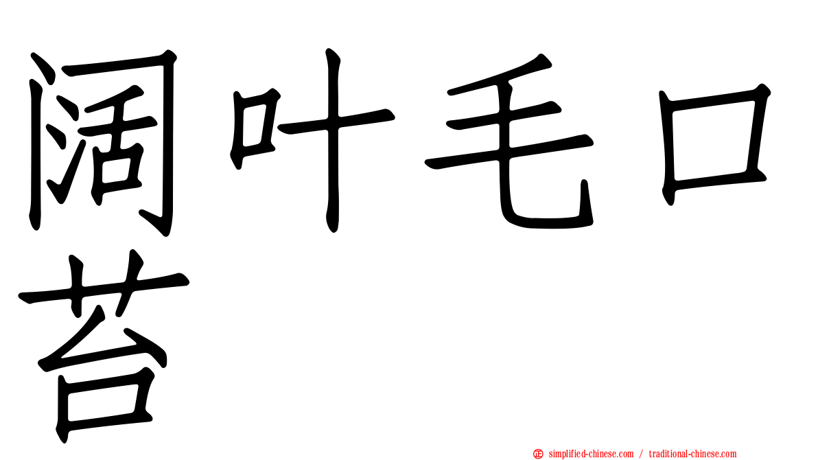 阔叶毛口苔