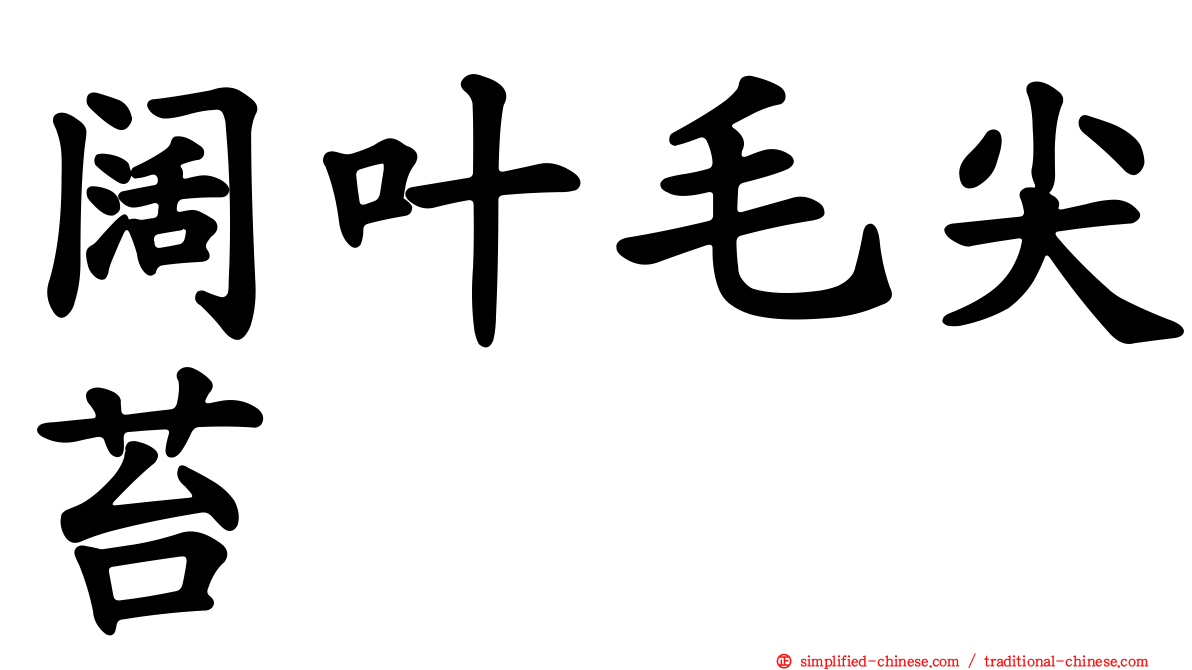 阔叶毛尖苔