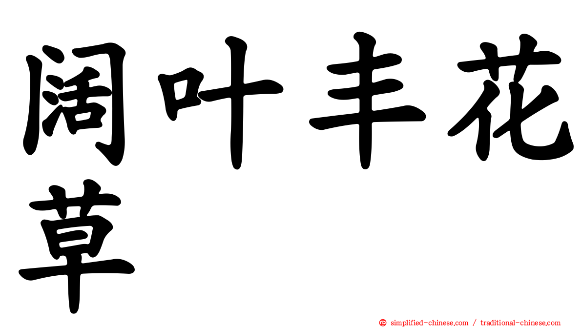 阔叶丰花草