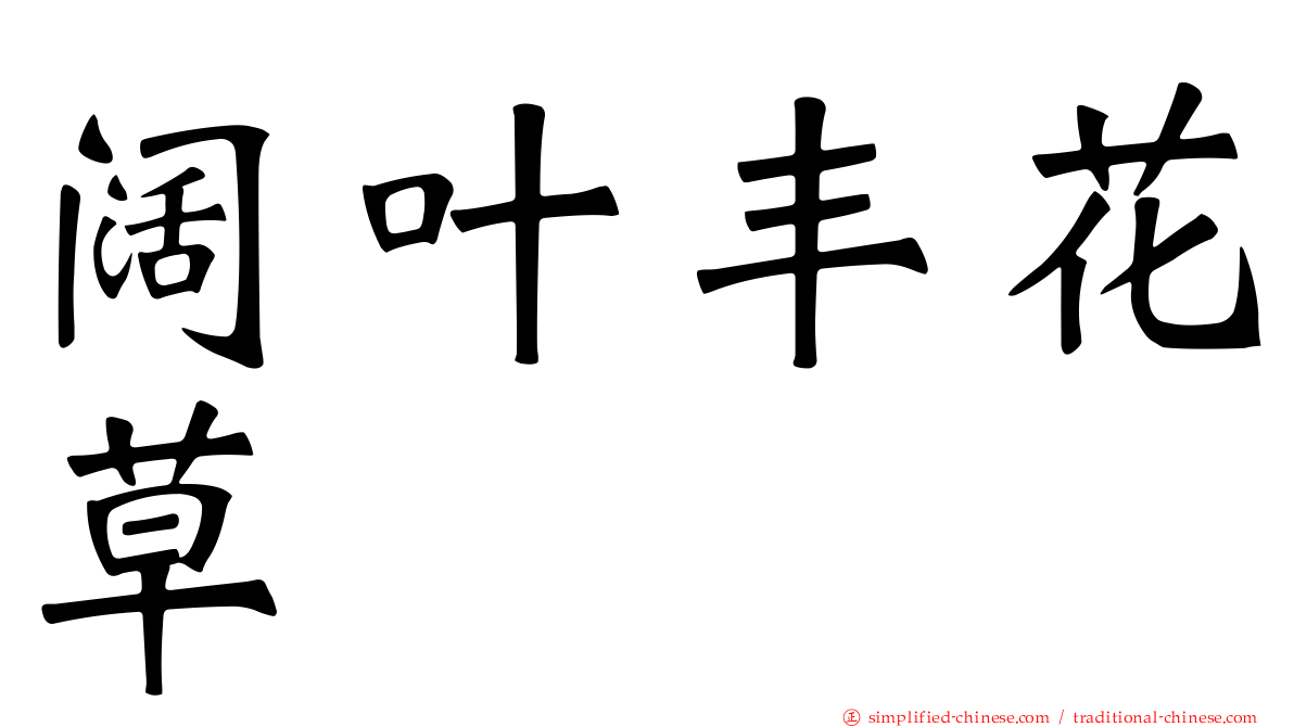 阔叶丰花草