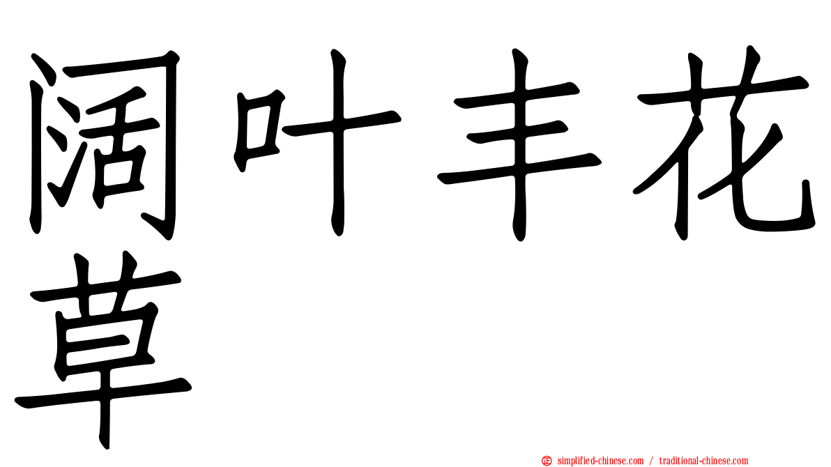 阔叶丰花草