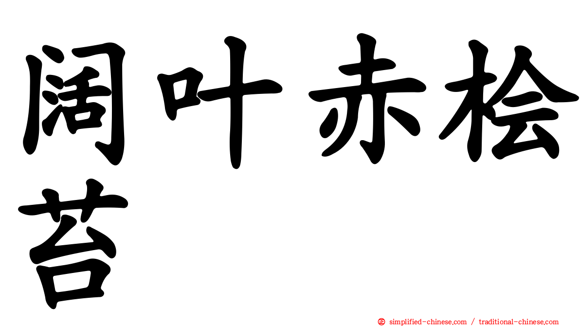阔叶赤桧苔