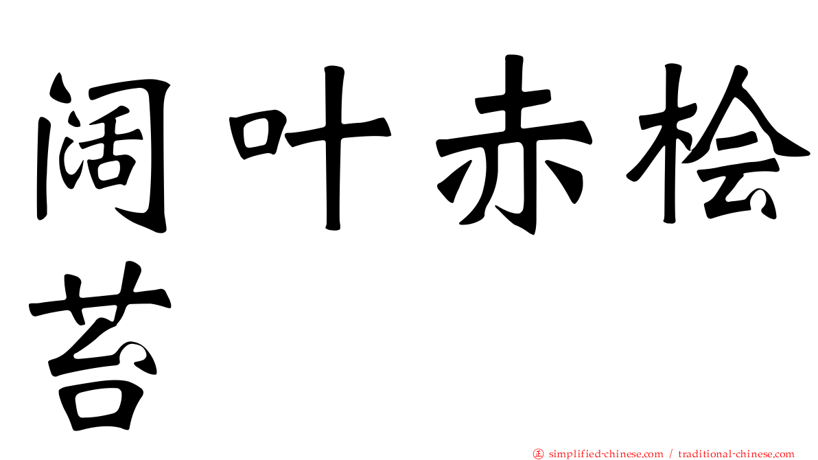 阔叶赤桧苔