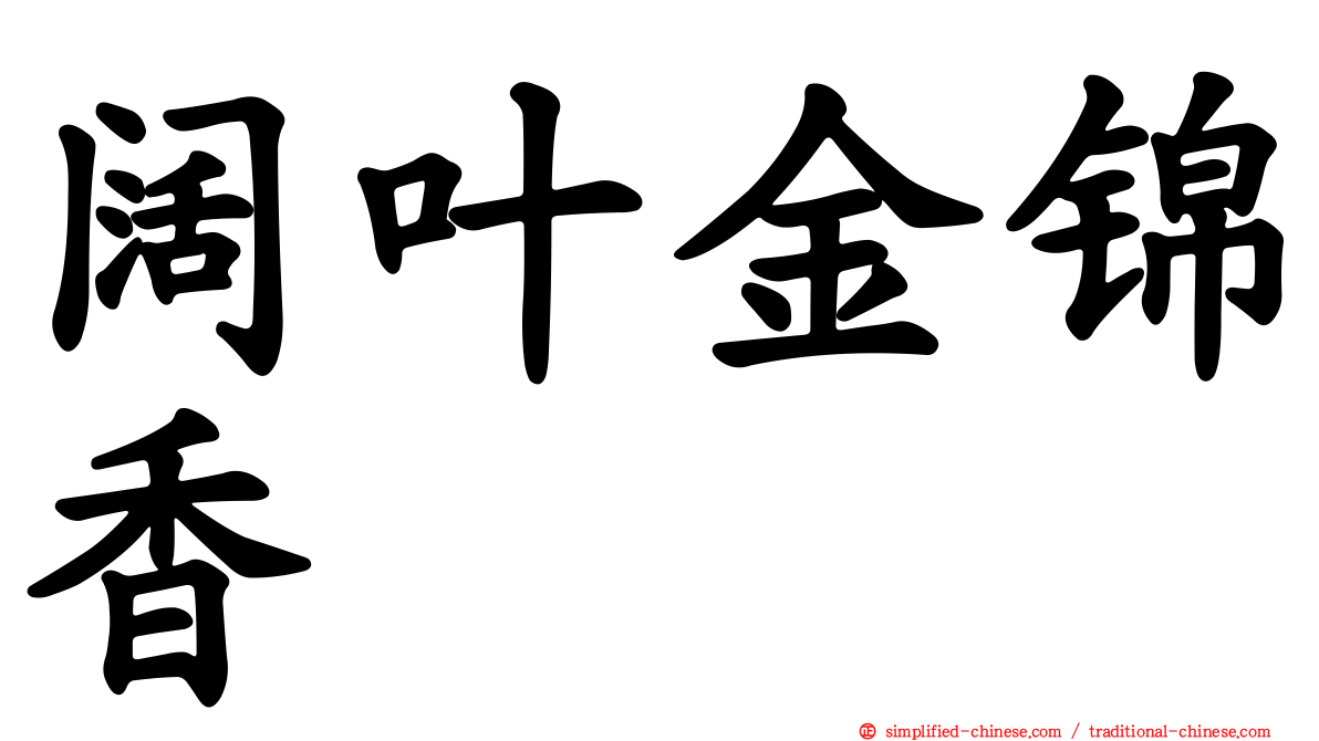 阔叶金锦香
