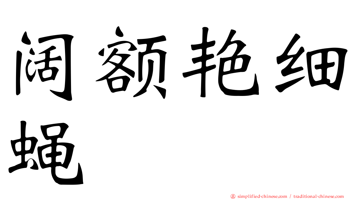 阔额艳细蝇