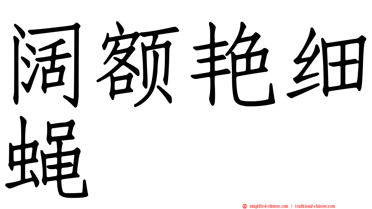 阔额艳细蝇