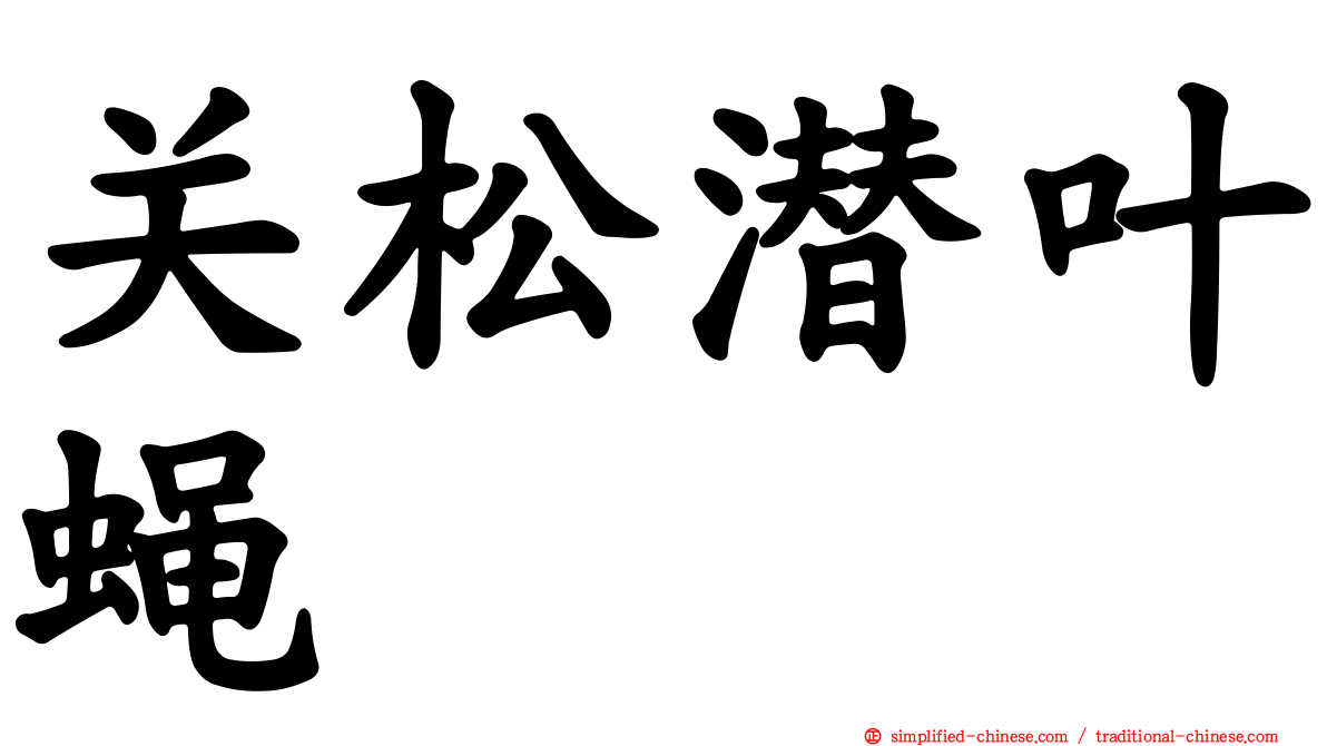 关松潜叶蝇