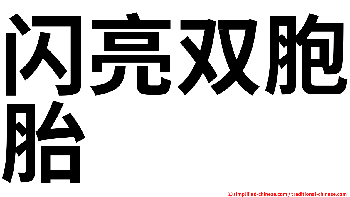 闪亮双胞胎