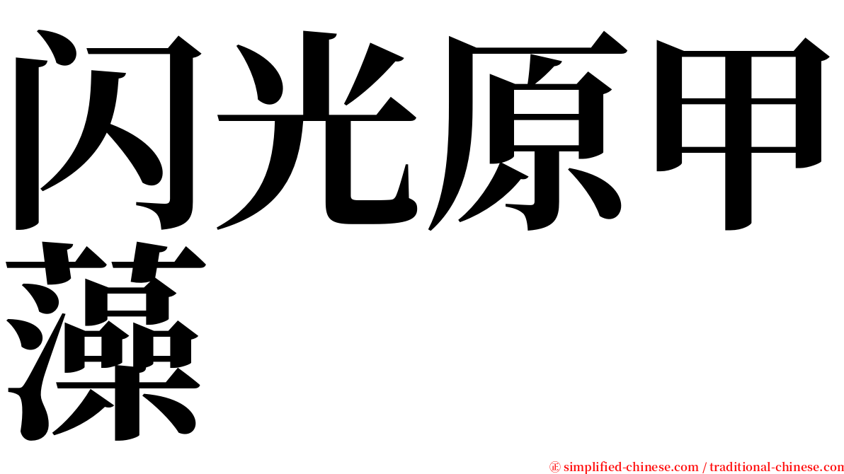 闪光原甲藻 serif font